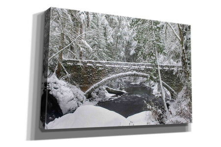 'Whatcom Creek Bridge' by Alan Majchrowicz,Giclee Canvas Wall Art