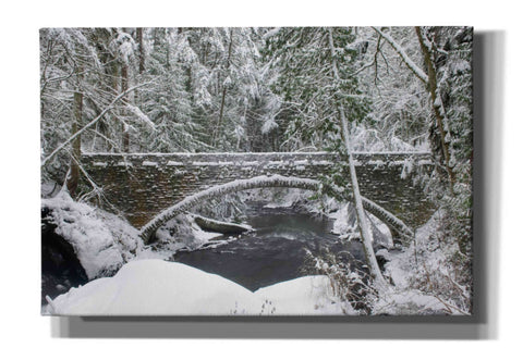 Image of 'Whatcom Creek Bridge' by Alan Majchrowicz,Giclee Canvas Wall Art