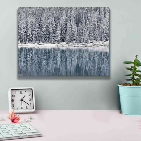 Image of 'Winter Reflections' by Alan Majchrowicz,Giclee Canvas Wall Art,16x12