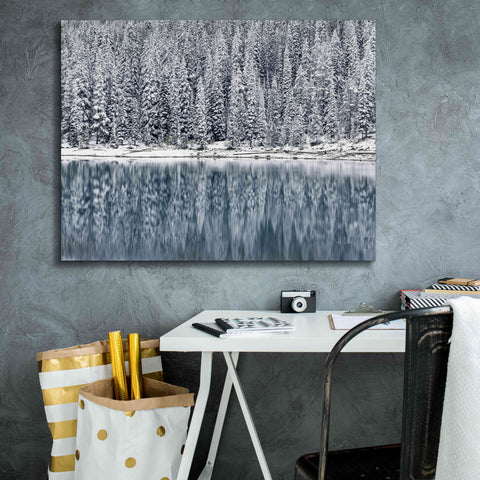 Image of 'Winter Reflections' by Alan Majchrowicz,Giclee Canvas Wall Art,34x26
