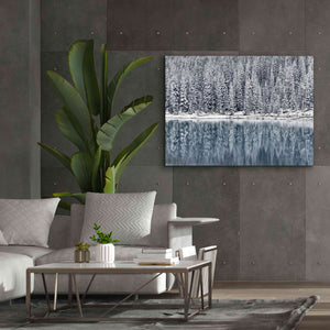 'Winter Reflections' by Alan Majchrowicz,Giclee Canvas Wall Art,54x40
