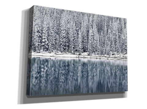 Image of 'Winter Reflections' by Alan Majchrowicz,Giclee Canvas Wall Art