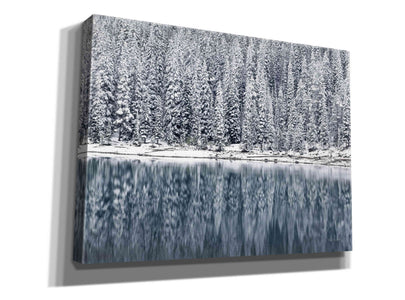 'Winter Reflections' by Alan Majchrowicz,Giclee Canvas Wall Art