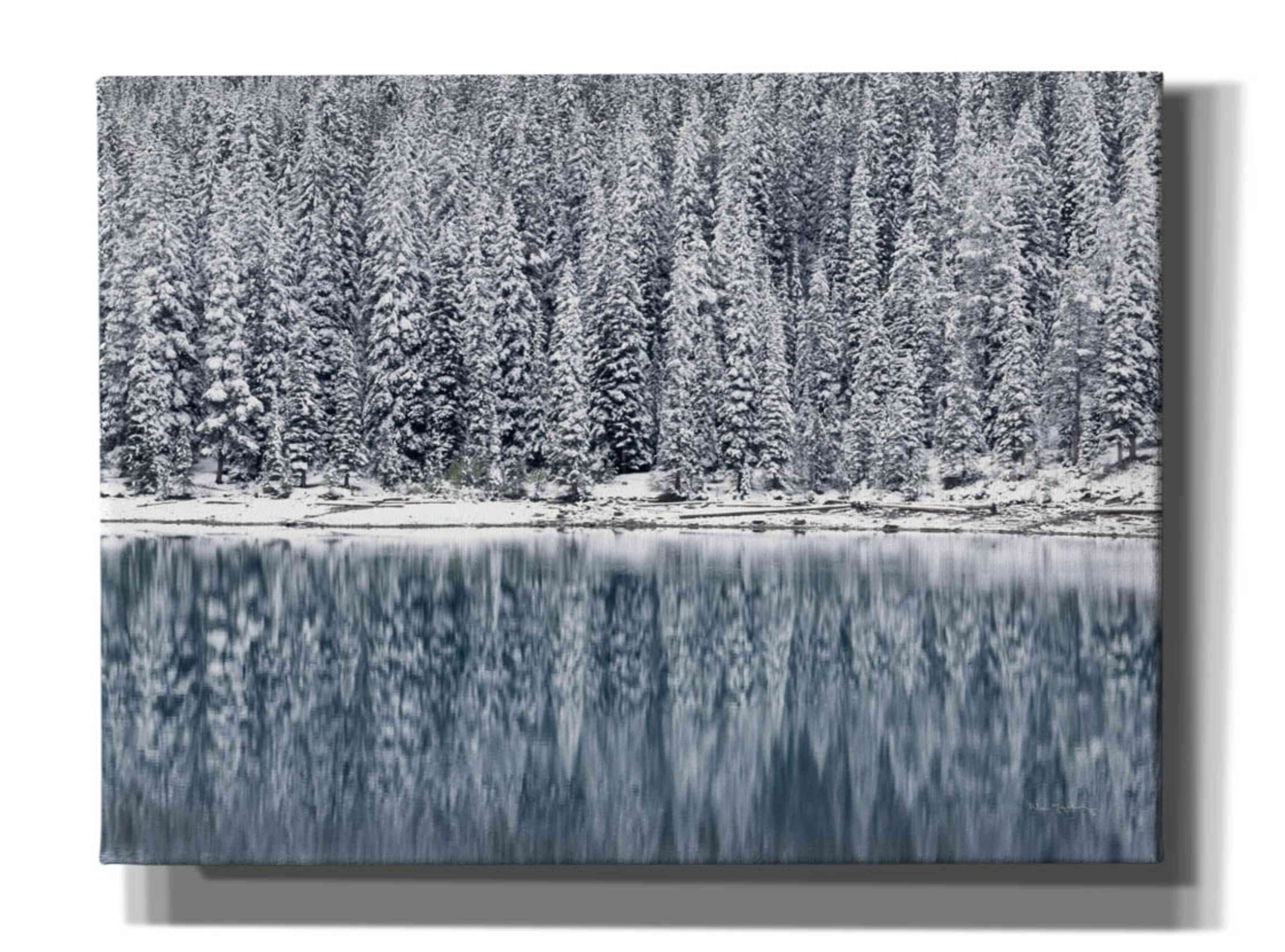 'Winter Reflections' by Alan Majchrowicz,Giclee Canvas Wall Art