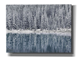 'Winter Reflections' by Alan Majchrowicz,Giclee Canvas Wall Art