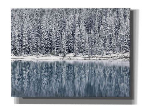 Image of 'Winter Reflections' by Alan Majchrowicz,Giclee Canvas Wall Art