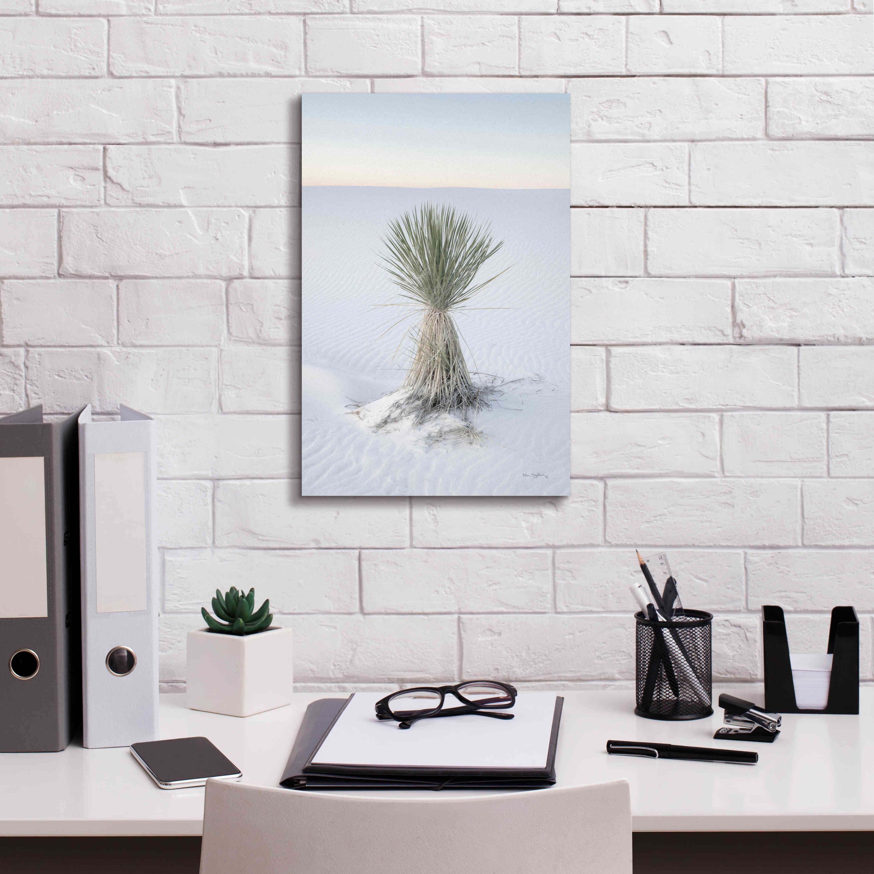 'Yucca in White Sands National Monument' by Alan Majchrowicz,Giclee Canvas Wall Art,12x18
