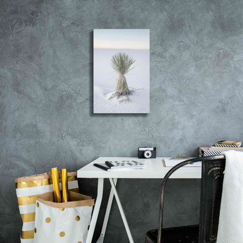Image of 'Yucca in White Sands National Monument' by Alan Majchrowicz,Giclee Canvas Wall Art,12x18