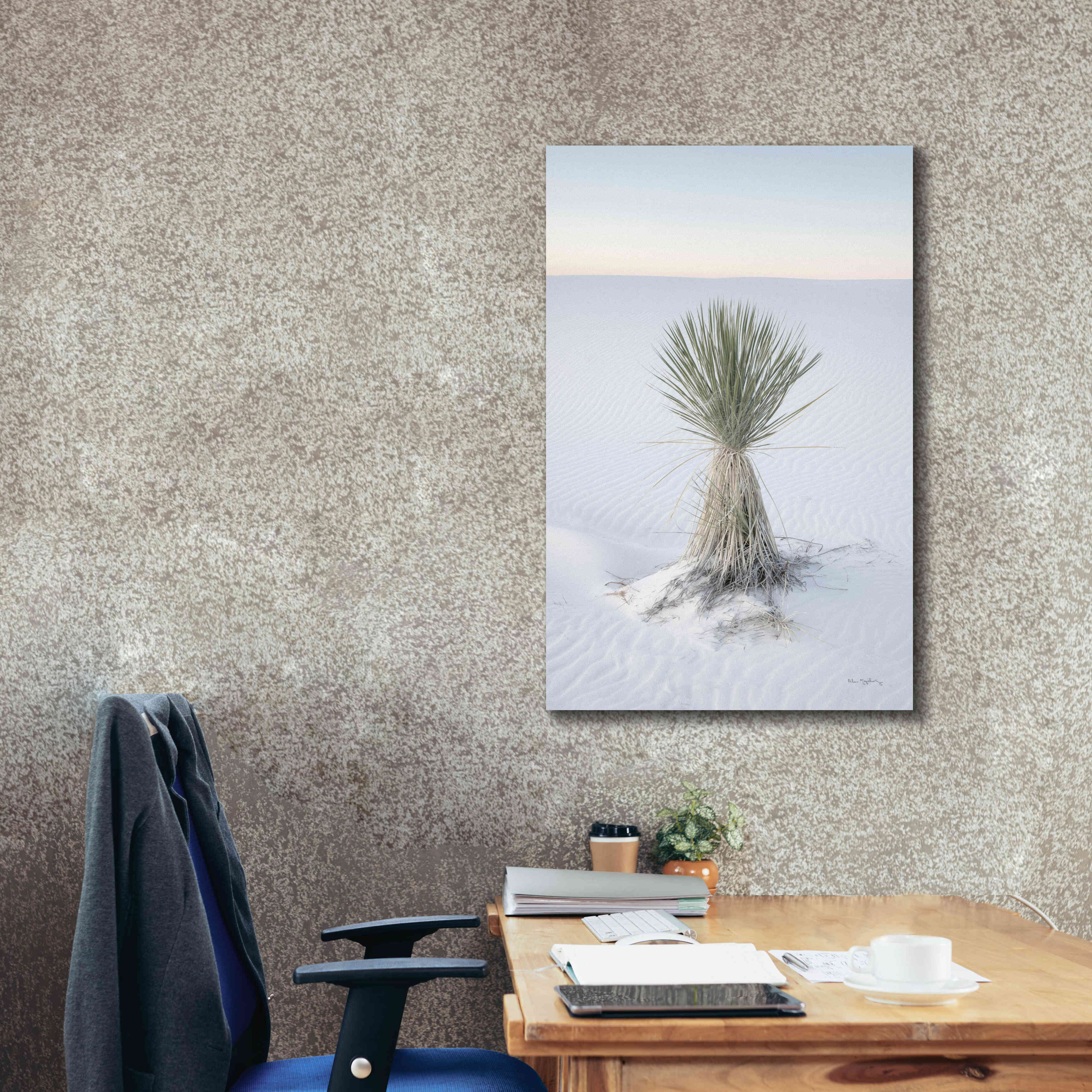 'Yucca in White Sands National Monument' by Alan Majchrowicz,Giclee Canvas Wall Art,26x40