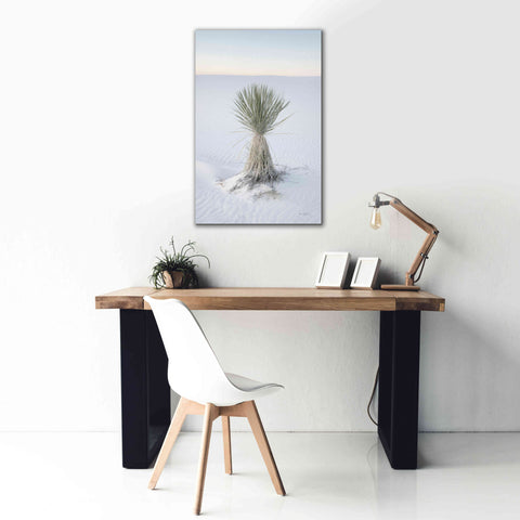 Image of 'Yucca in White Sands National Monument' by Alan Majchrowicz,Giclee Canvas Wall Art,26x40
