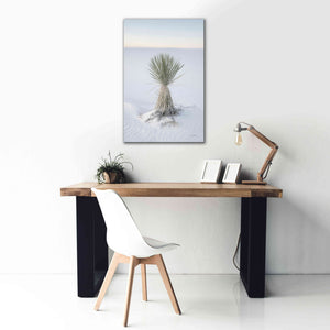 'Yucca in White Sands National Monument' by Alan Majchrowicz,Giclee Canvas Wall Art,26x40