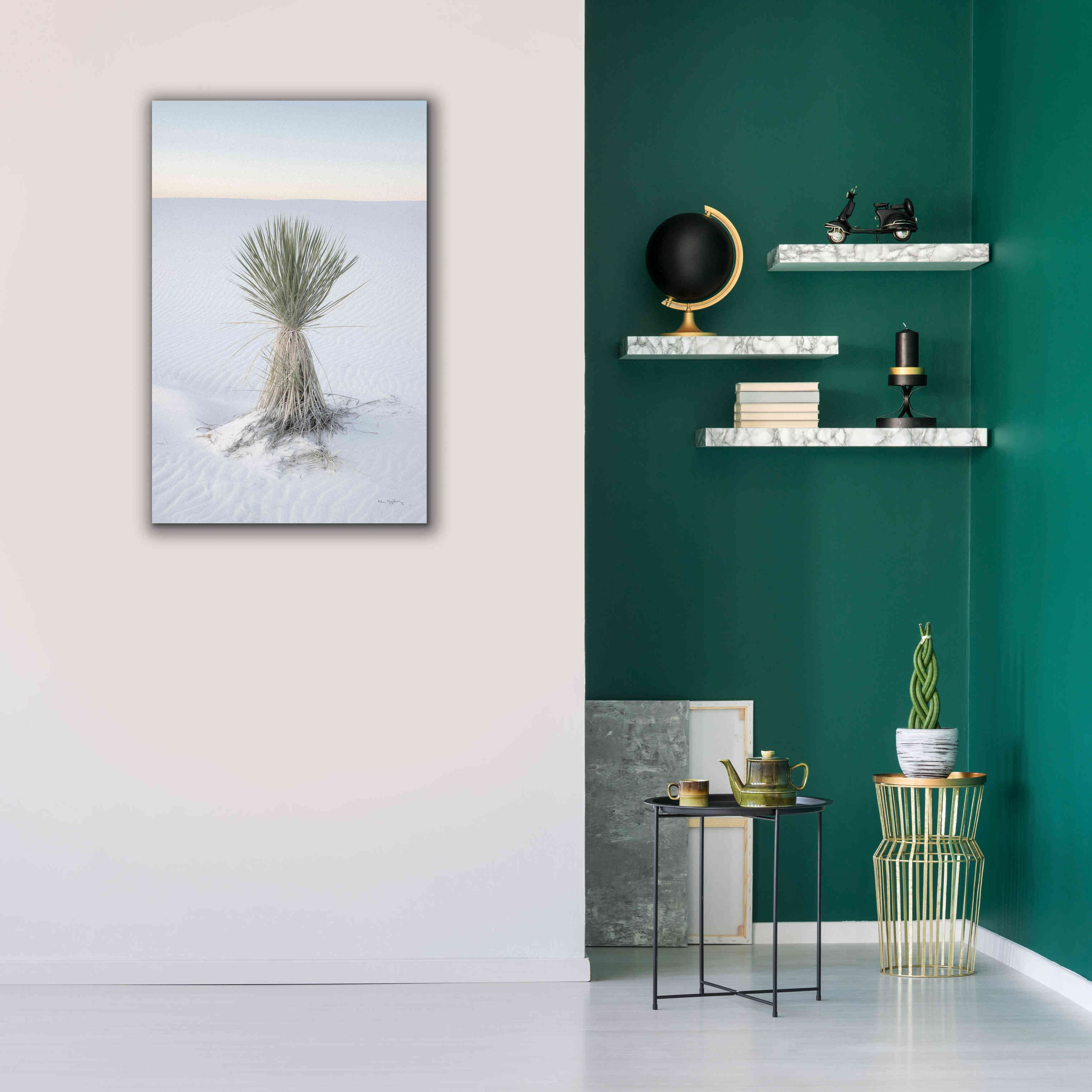 'Yucca in White Sands National Monument' by Alan Majchrowicz,Giclee Canvas Wall Art,26x40