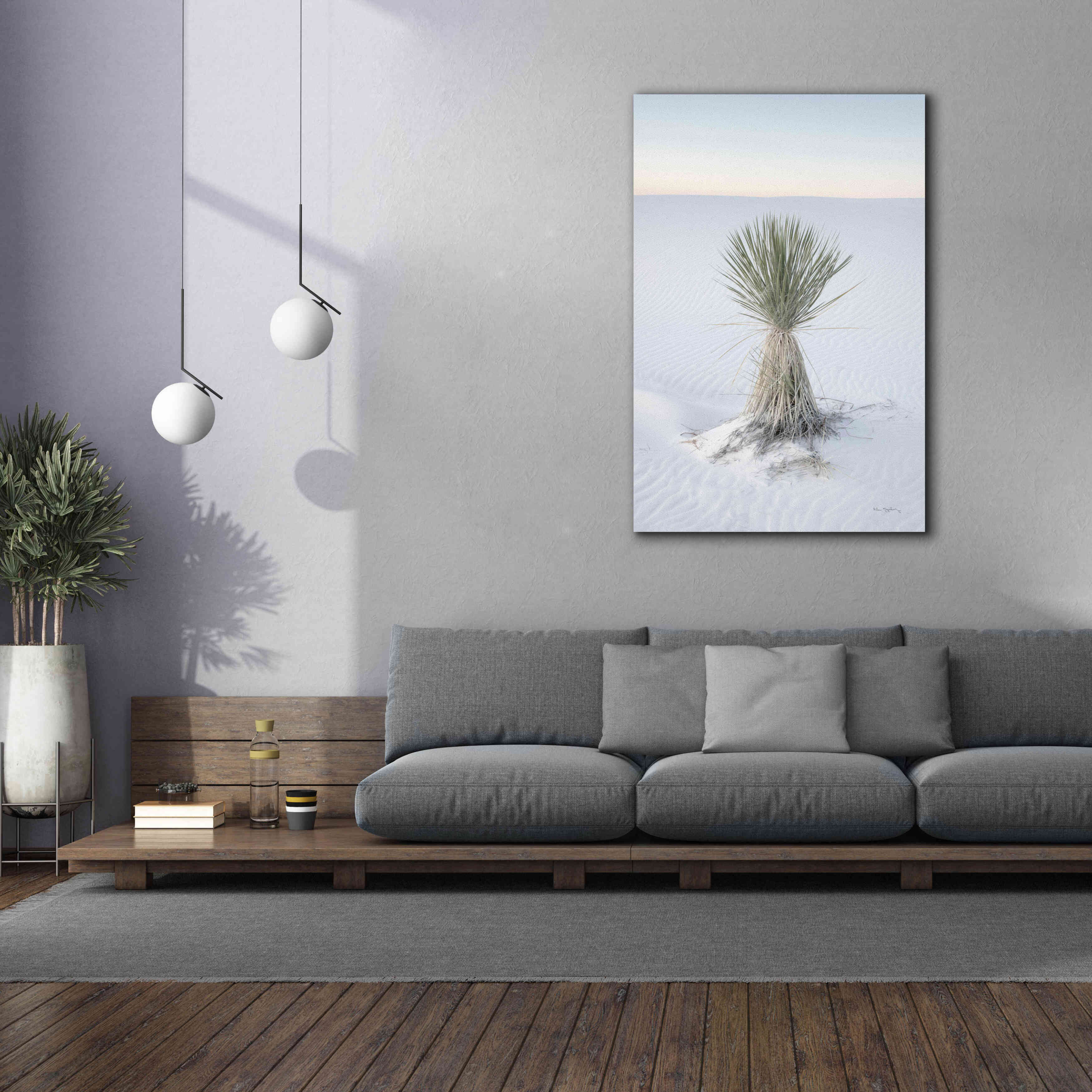 'Yucca in White Sands National Monument' by Alan Majchrowicz,Giclee Canvas Wall Art,40x60