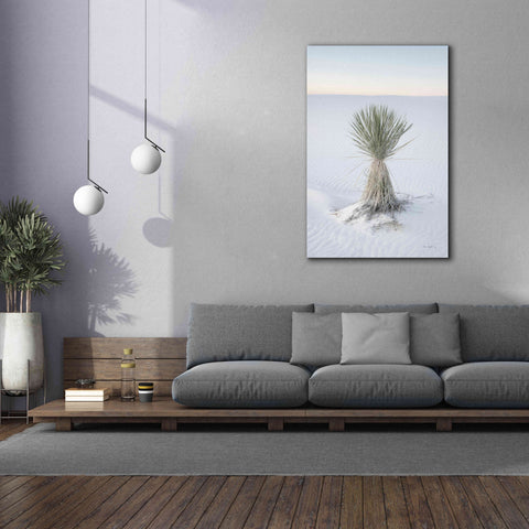 Image of 'Yucca in White Sands National Monument' by Alan Majchrowicz,Giclee Canvas Wall Art,40x60
