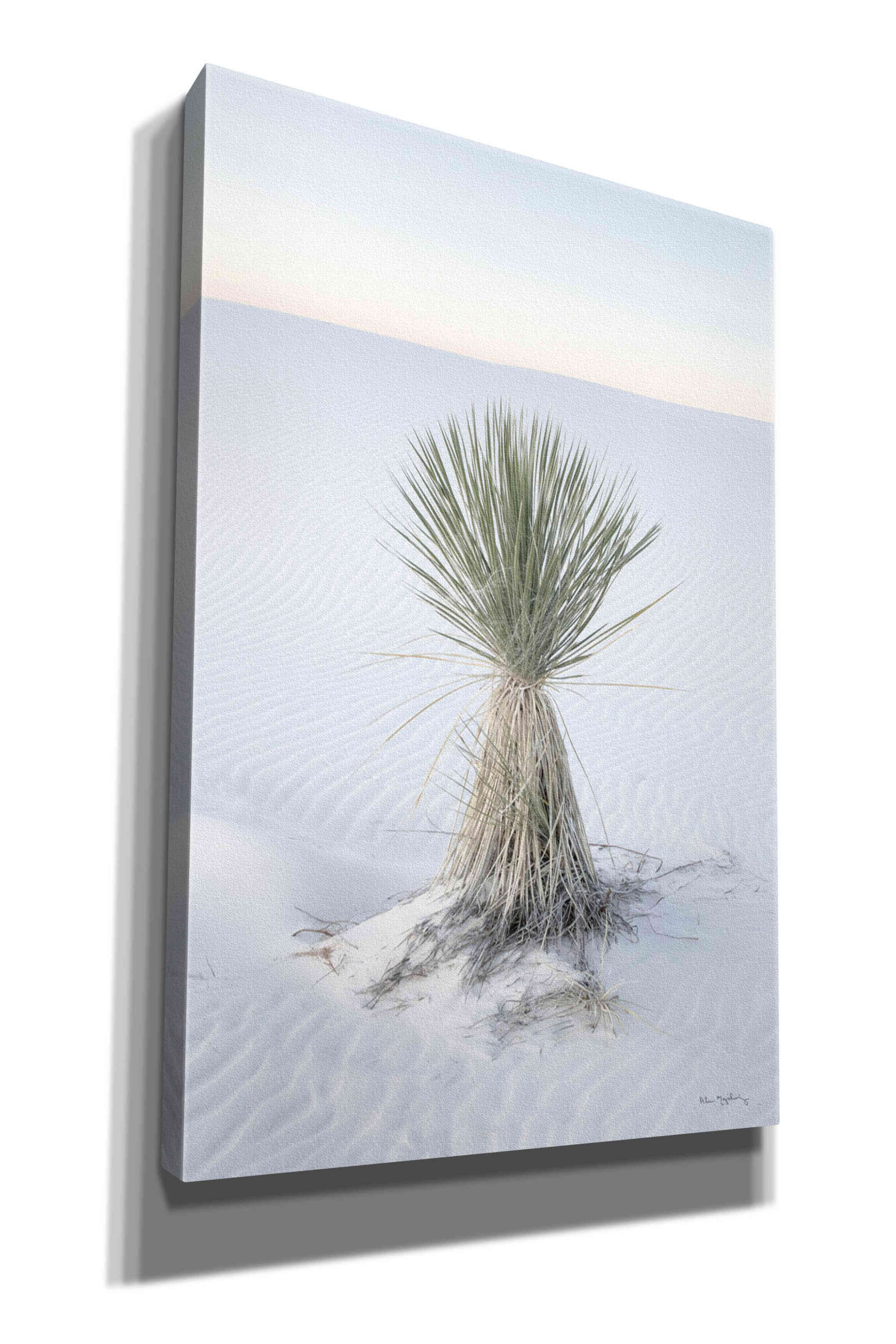 'Yucca in White Sands National Monument' by Alan Majchrowicz,Giclee Canvas Wall Art