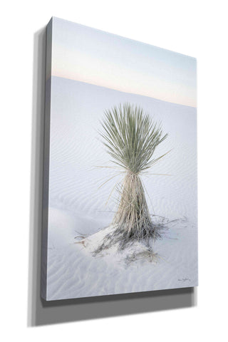 Image of 'Yucca in White Sands National Monument' by Alan Majchrowicz,Giclee Canvas Wall Art