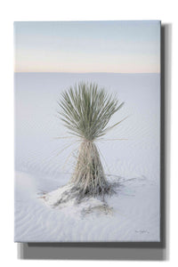 'Yucca in White Sands National Monument' by Alan Majchrowicz,Giclee Canvas Wall Art
