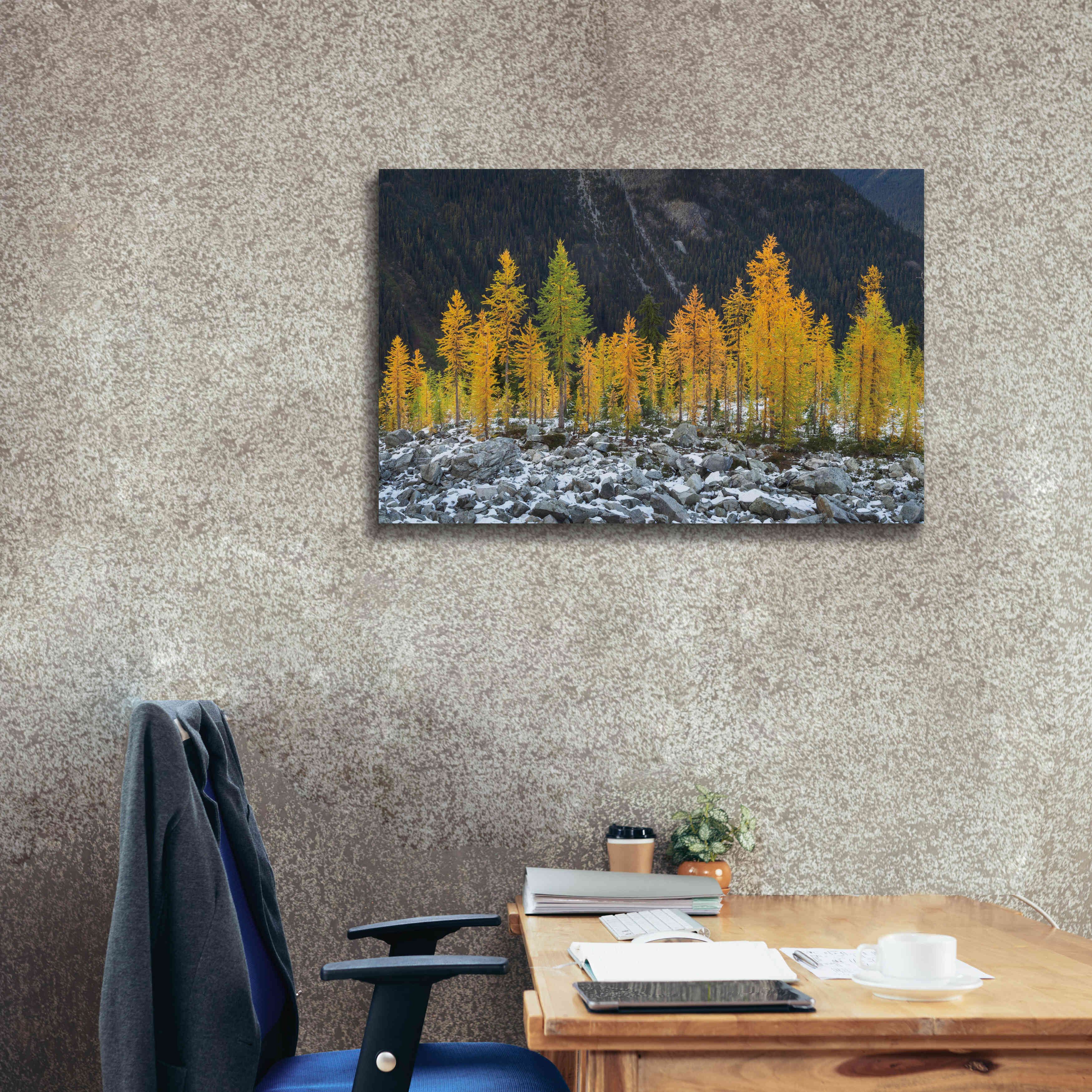 'Alpine Larches North Cascades' by Alan Majchrowicz,Giclee Canvas Wall Art,40x26