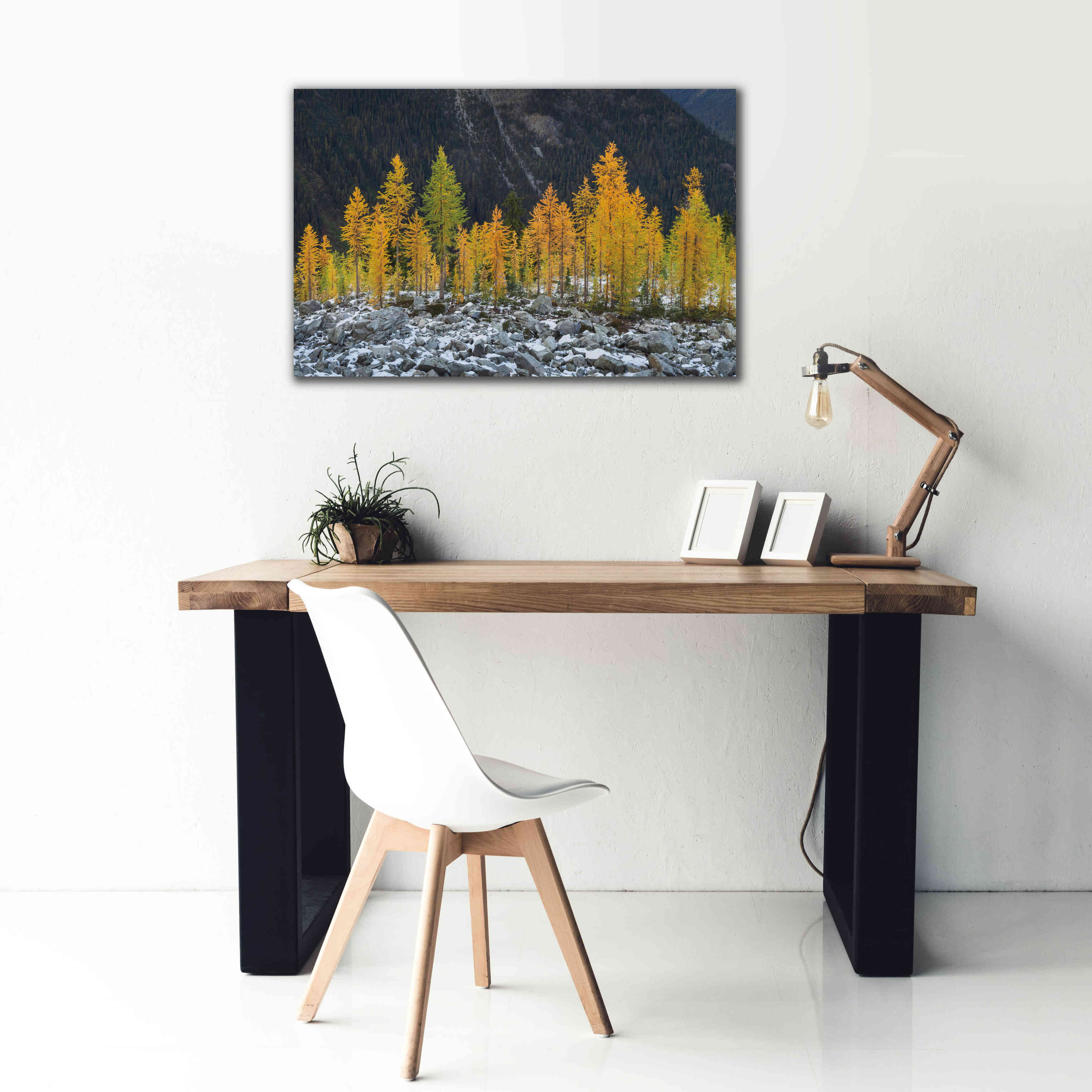 'Alpine Larches North Cascades' by Alan Majchrowicz,Giclee Canvas Wall Art,40x26