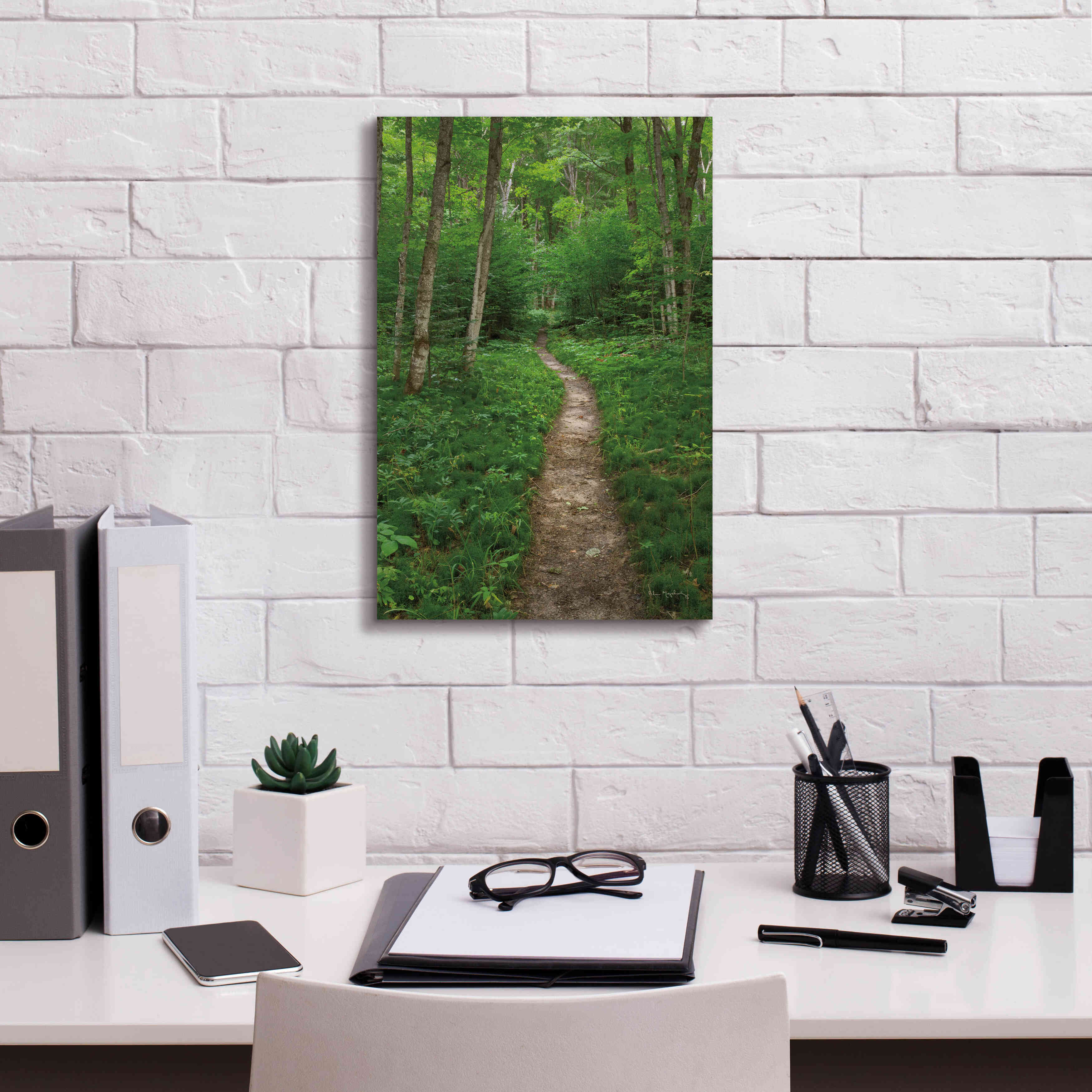 'North Country Trail' by Alan Majchrowicz,Giclee Canvas Wall Art,12x18