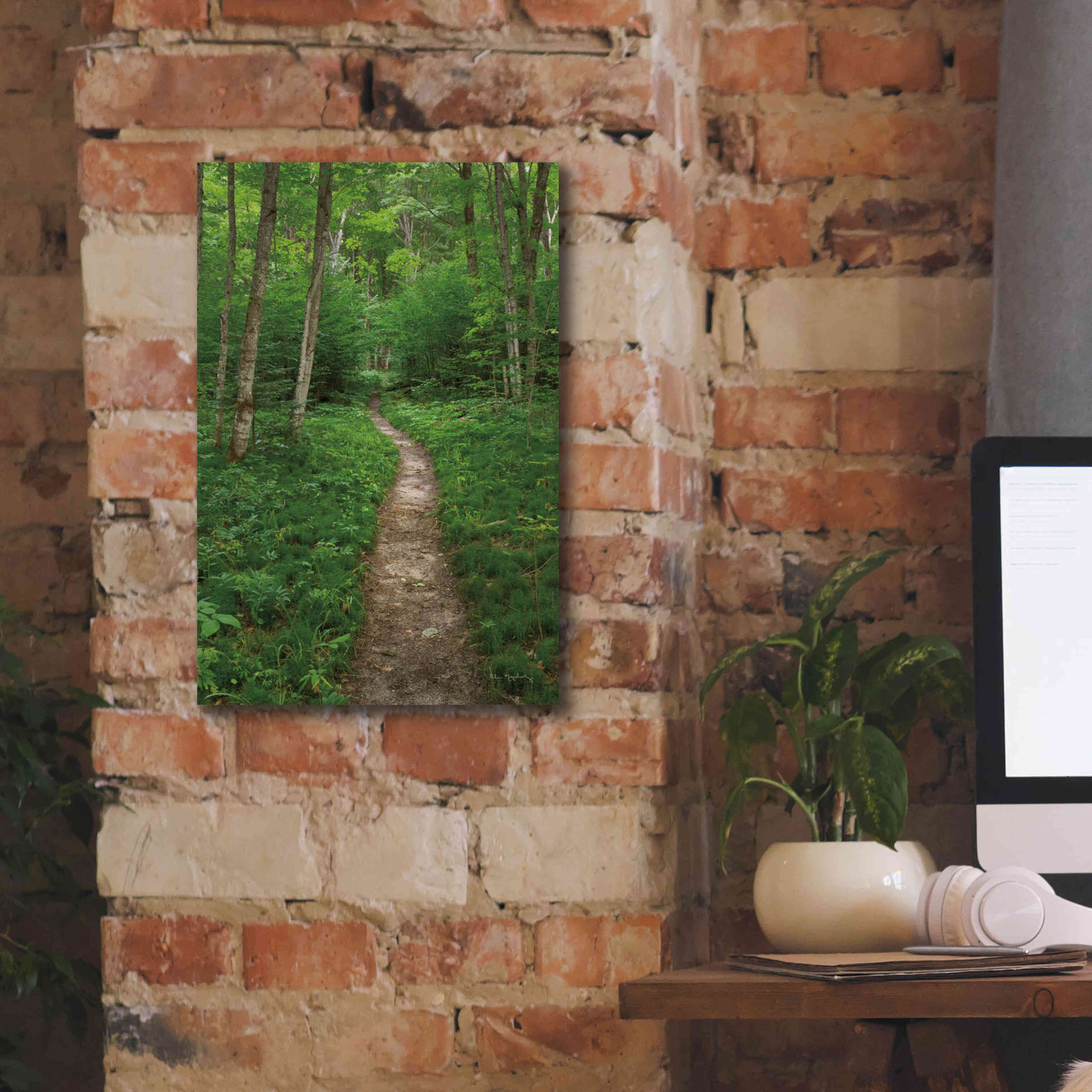 'North Country Trail' by Alan Majchrowicz,Giclee Canvas Wall Art,12x18