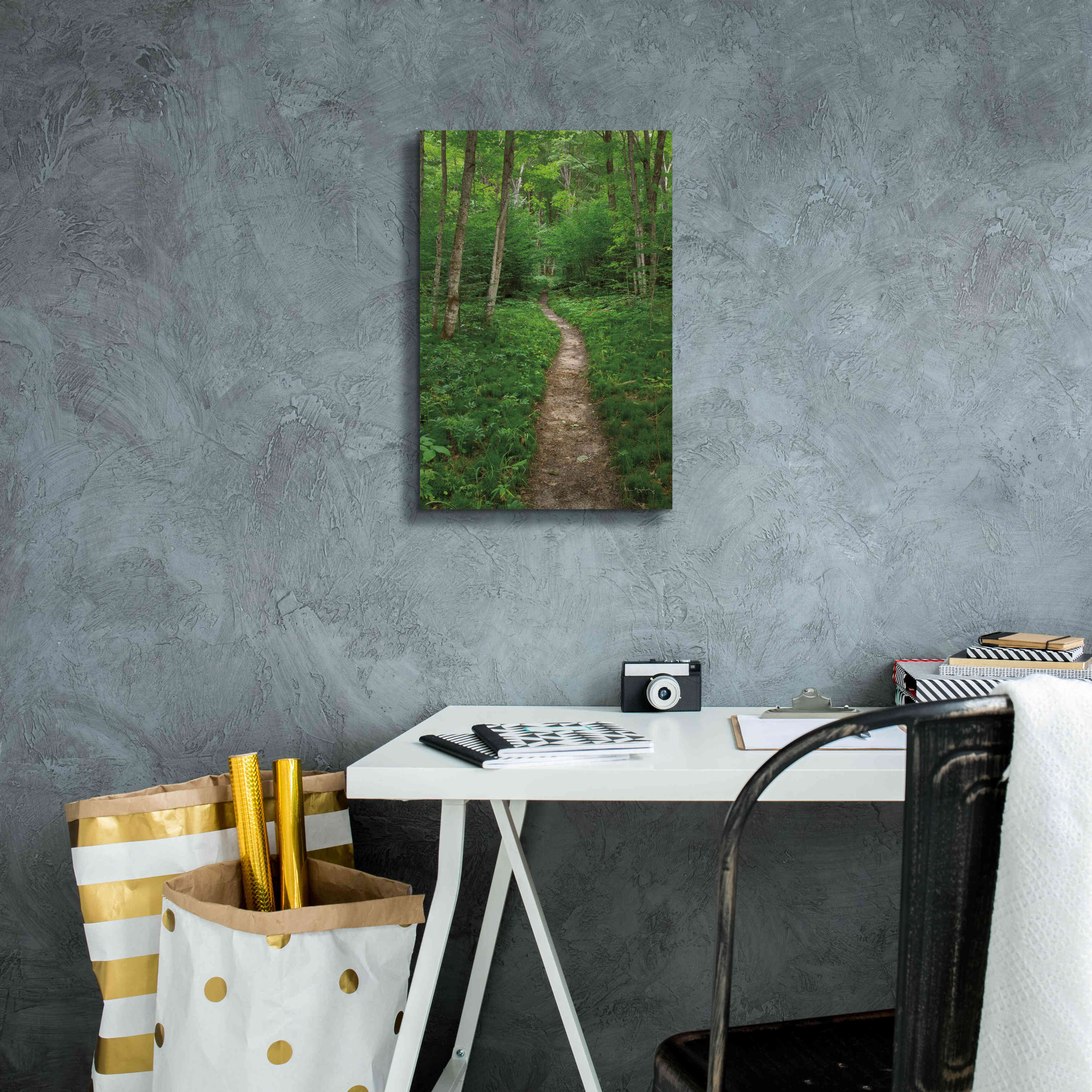 'North Country Trail' by Alan Majchrowicz,Giclee Canvas Wall Art,12x18