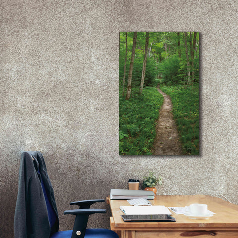 Image of 'North Country Trail' by Alan Majchrowicz,Giclee Canvas Wall Art,26x40