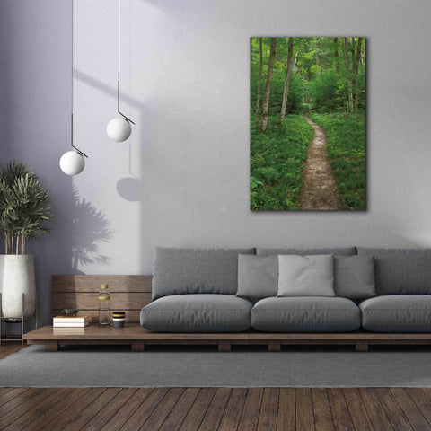 Image of 'North Country Trail' by Alan Majchrowicz,Giclee Canvas Wall Art,40x60
