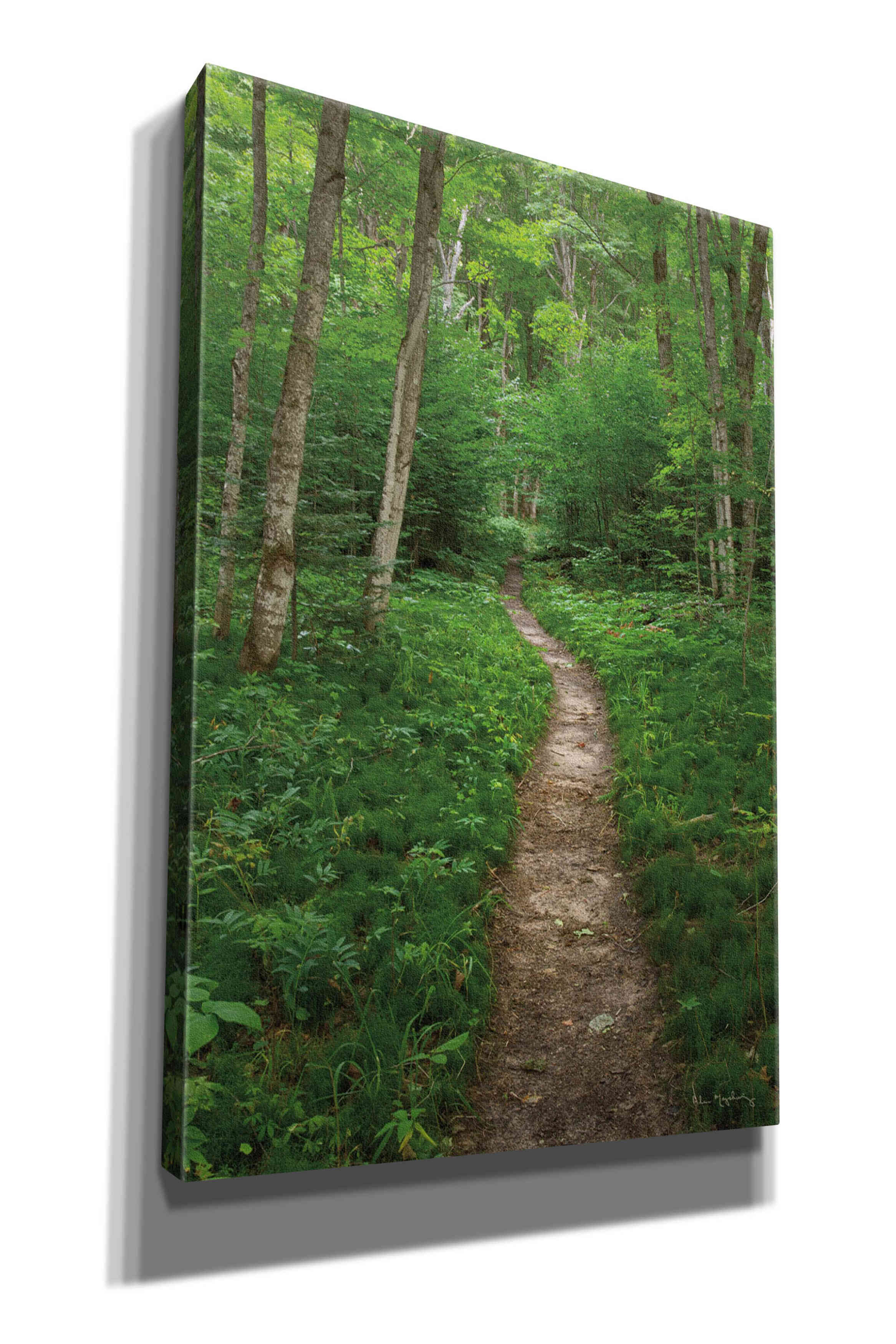 'North Country Trail' by Alan Majchrowicz,Giclee Canvas Wall Art