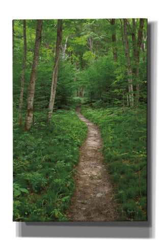 Image of 'North Country Trail' by Alan Majchrowicz,Giclee Canvas Wall Art