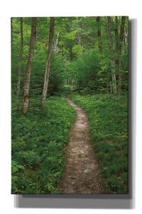 'North Country Trail' by Alan Majchrowicz,Giclee Canvas Wall Art