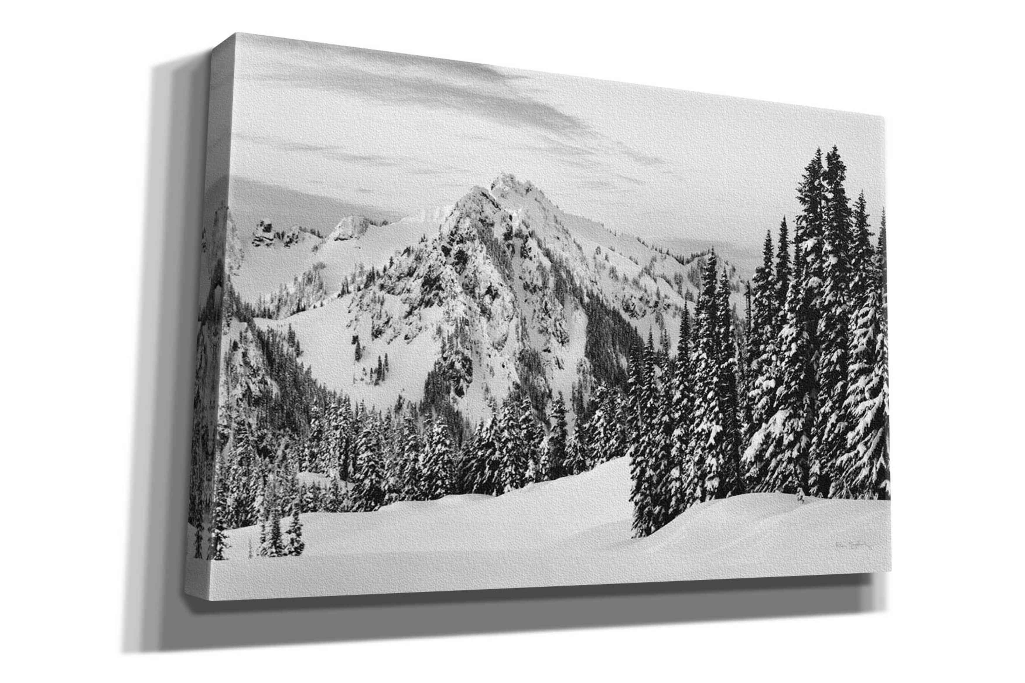 'Tatoosh Range BW' by Alan Majchrowicz,Giclee Canvas Wall Art
