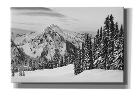 'Tatoosh Range BW' by Alan Majchrowicz,Giclee Canvas Wall Art