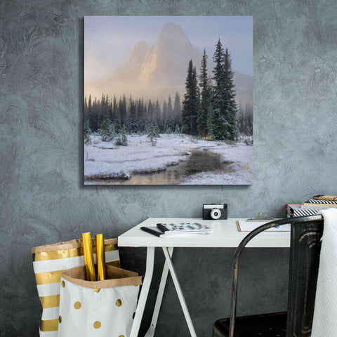 Image of 'Bell Mountain North Cascades II' by Alan Majchrowicz,Giclee Canvas Wall Art,26x26