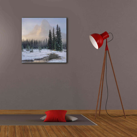 Image of 'Bell Mountain North Cascades II' by Alan Majchrowicz,Giclee Canvas Wall Art,26x26