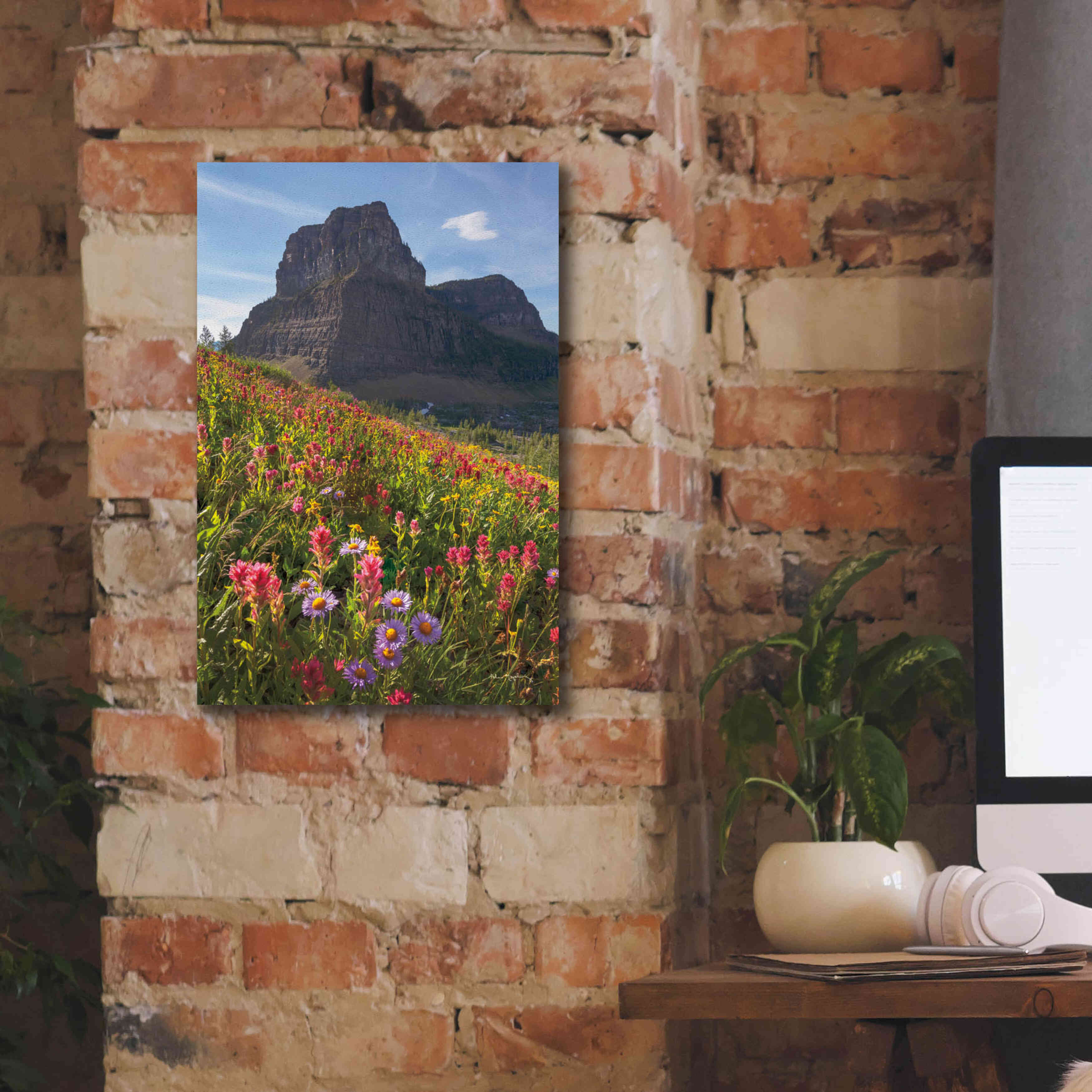 'Boulder Pass Wildflowers' by Alan Majchrowicz,Giclee Canvas Wall Art,12x18