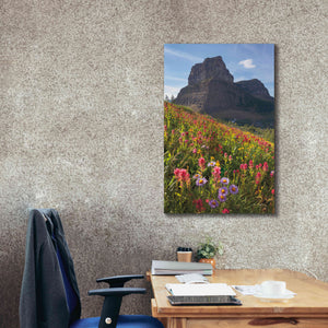 'Boulder Pass Wildflowers' by Alan Majchrowicz,Giclee Canvas Wall Art,26x40