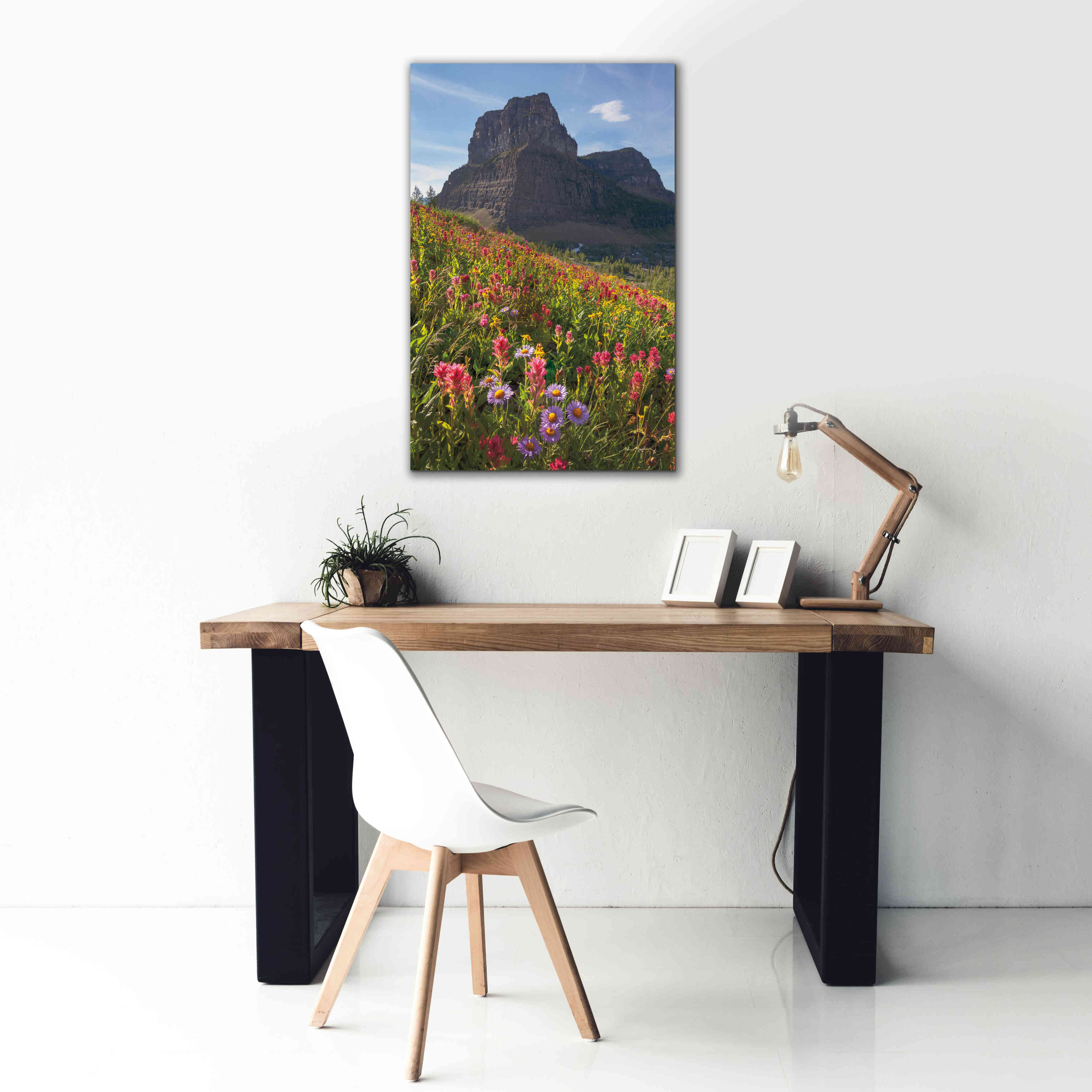 'Boulder Pass Wildflowers' by Alan Majchrowicz,Giclee Canvas Wall Art,26x40