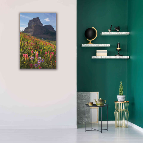 Image of 'Boulder Pass Wildflowers' by Alan Majchrowicz,Giclee Canvas Wall Art,26x40