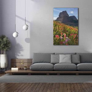 'Boulder Pass Wildflowers' by Alan Majchrowicz,Giclee Canvas Wall Art,40x60