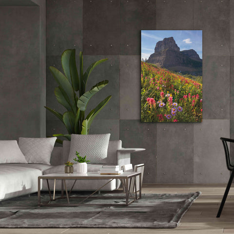 Image of 'Boulder Pass Wildflowers' by Alan Majchrowicz,Giclee Canvas Wall Art,40x60