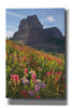 'Boulder Pass Wildflowers' by Alan Majchrowicz,Giclee Canvas Wall Art