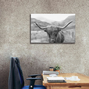 'Scottish Highland Cattle III Neutral Crop' by Alan Majchrowicz,Giclee Canvas Wall Art,40x26
