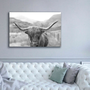 'Scottish Highland Cattle III Neutral Crop' by Alan Majchrowicz,Giclee Canvas Wall Art,60x40