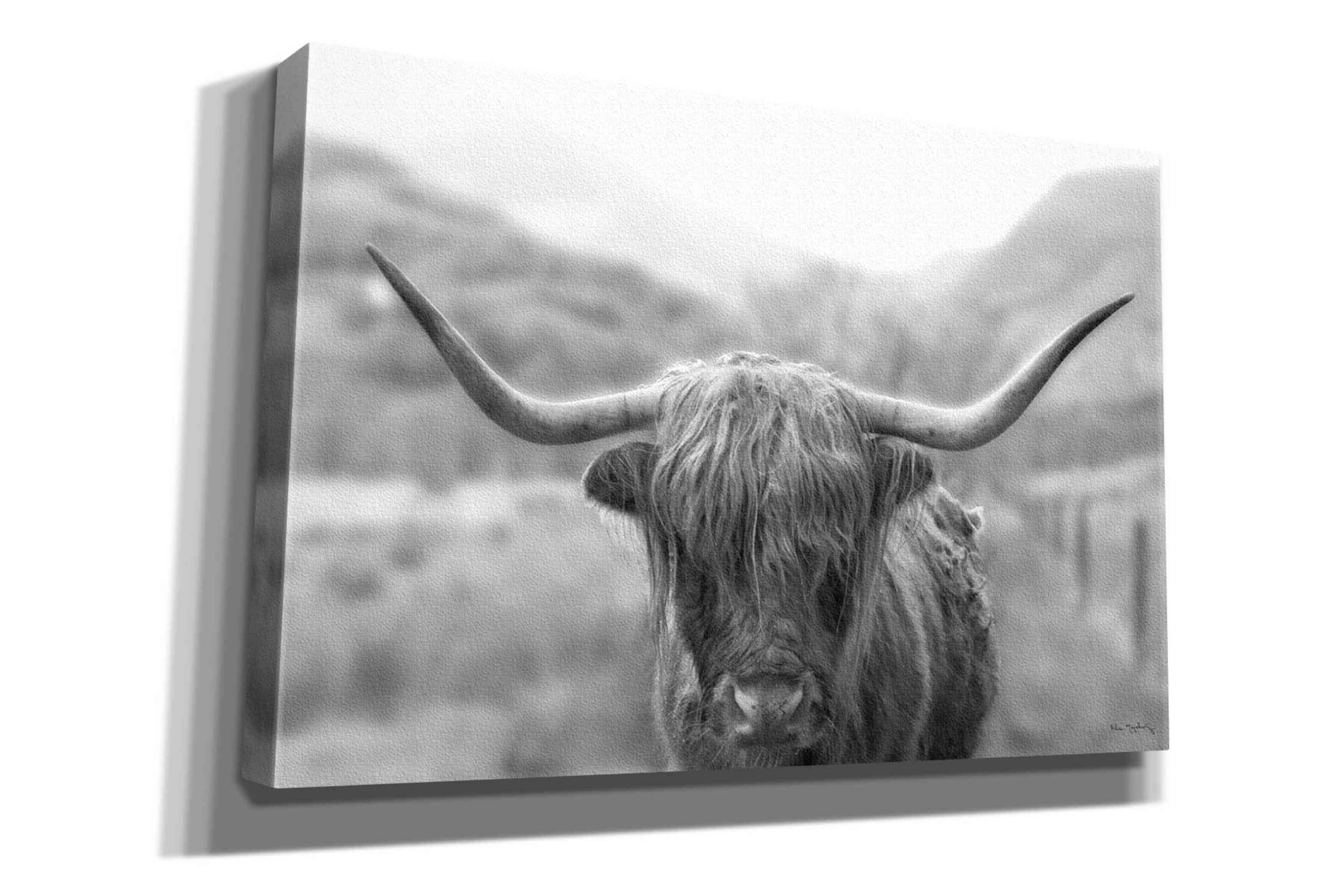 'Scottish Highland Cattle III Neutral Crop' by Alan Majchrowicz,Giclee Canvas Wall Art