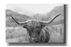 'Scottish Highland Cattle III Neutral Crop' by Alan Majchrowicz,Giclee Canvas Wall Art