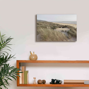 'Oregon Dunes' by Alan Majchrowicz,Giclee Canvas Wall Art,18x12