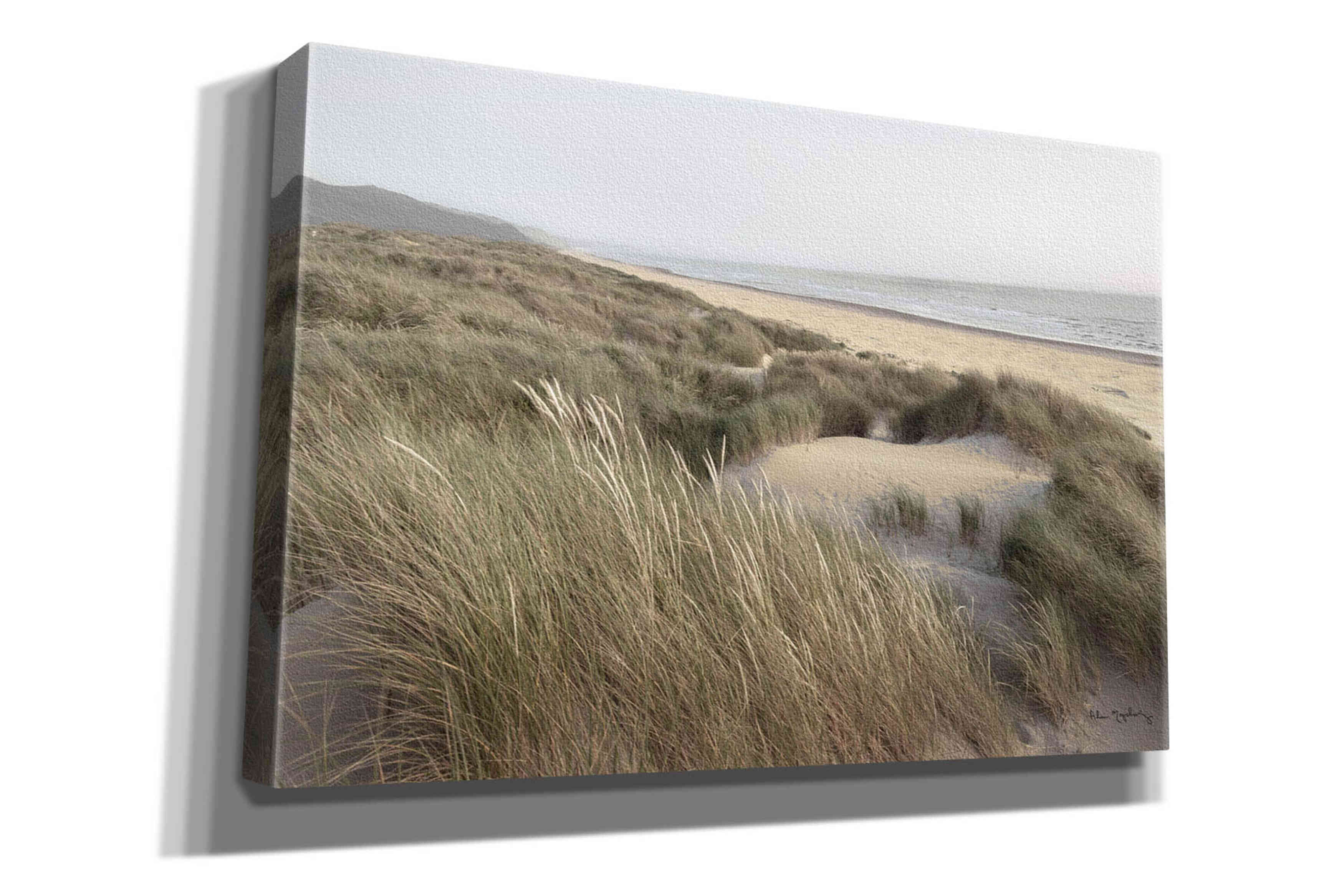 'Oregon Dunes' by Alan Majchrowicz,Giclee Canvas Wall Art