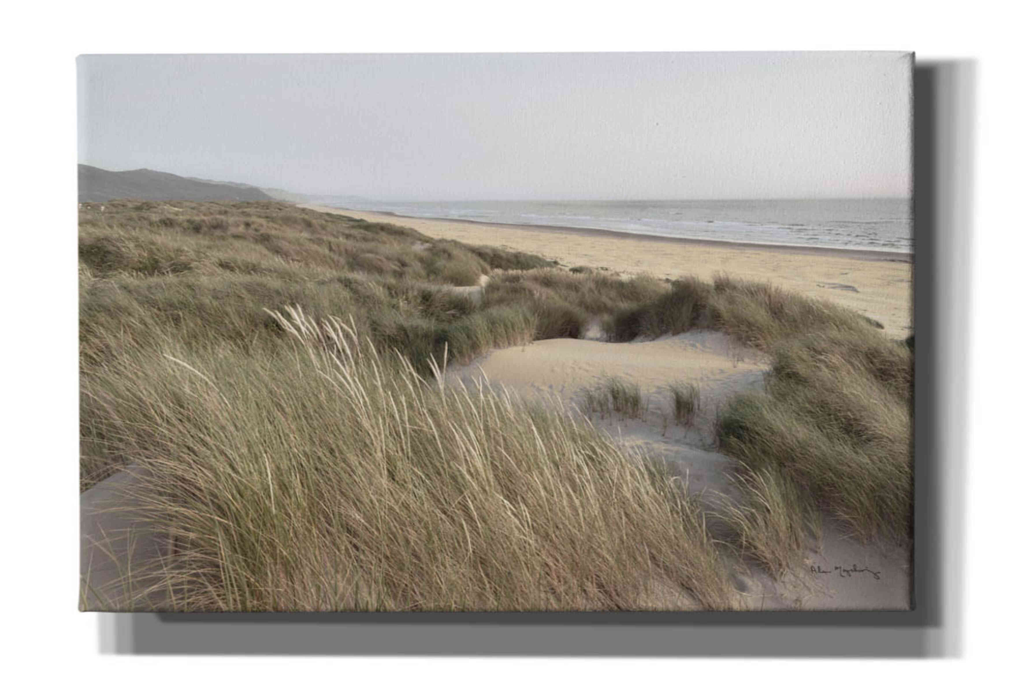 'Oregon Dunes' by Alan Majchrowicz,Giclee Canvas Wall Art