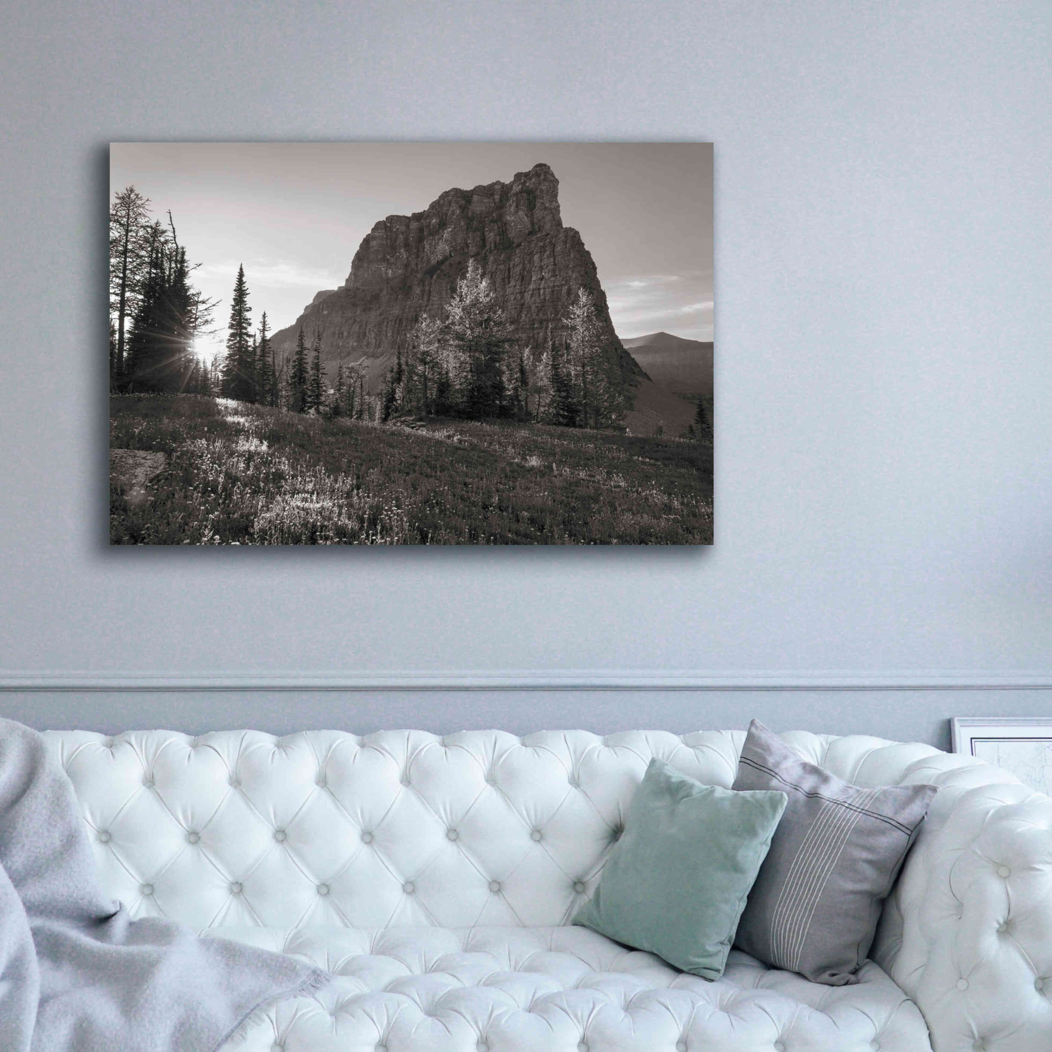 'Boulder Pass Glacier National Park BW' by Alan Majchrowicz,Giclee Canvas Wall Art,60x40